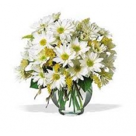 Bunch Of White Gerberas In A Glass Bowl